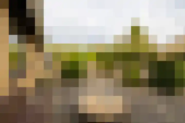 Christinalaan 6 Vorden thumbnail 4