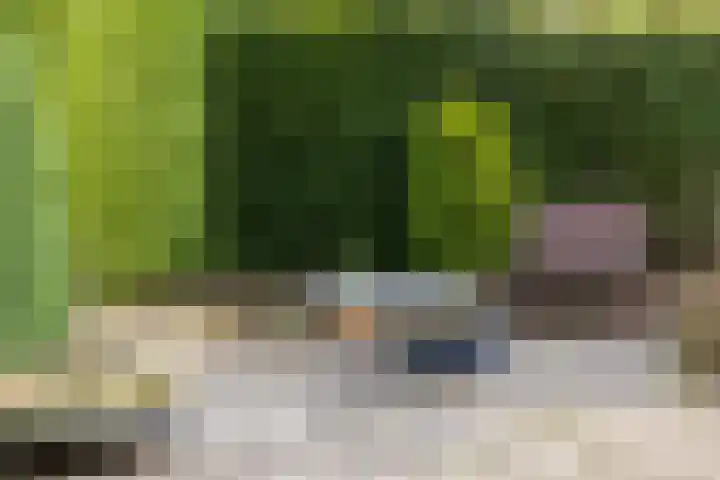 Christinalaan 6 Vorden thumbnail 47