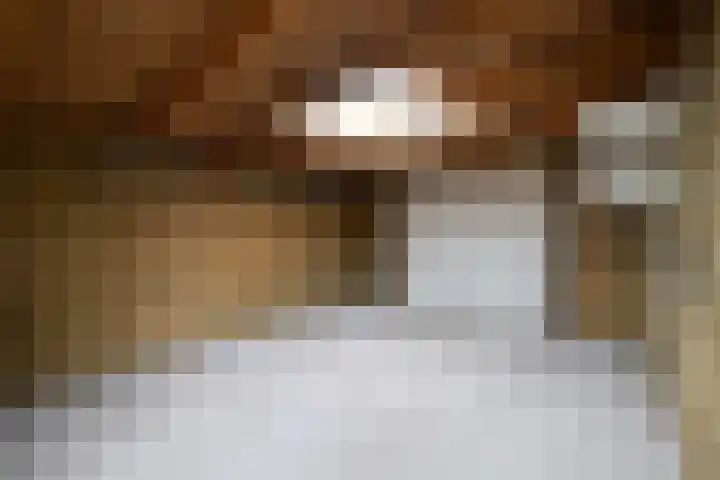Christinalaan 6 Vorden thumbnail 51