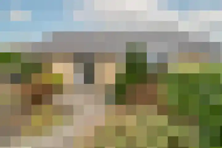 Christinalaan 6 Vorden thumbnail 59
