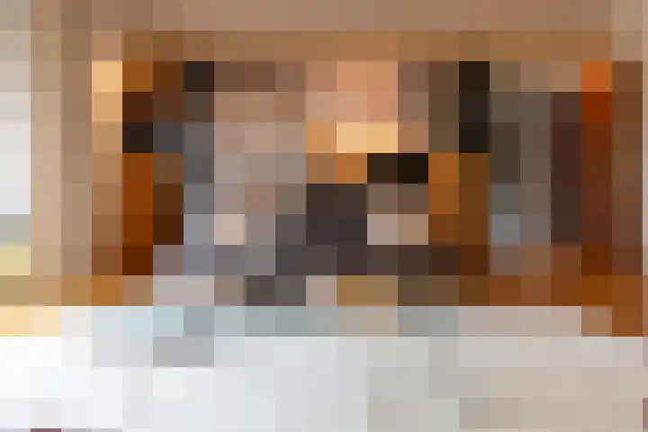 Christinalaan 6 Vorden thumbnail 9