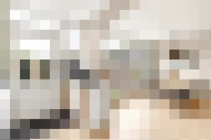 Christinapad 2 Hoevelaken thumbnail 15