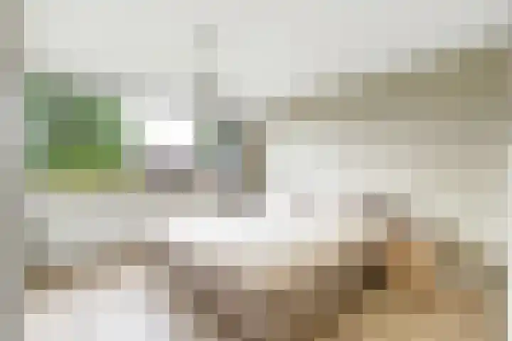 Christinapad 2 Hoevelaken thumbnail 18