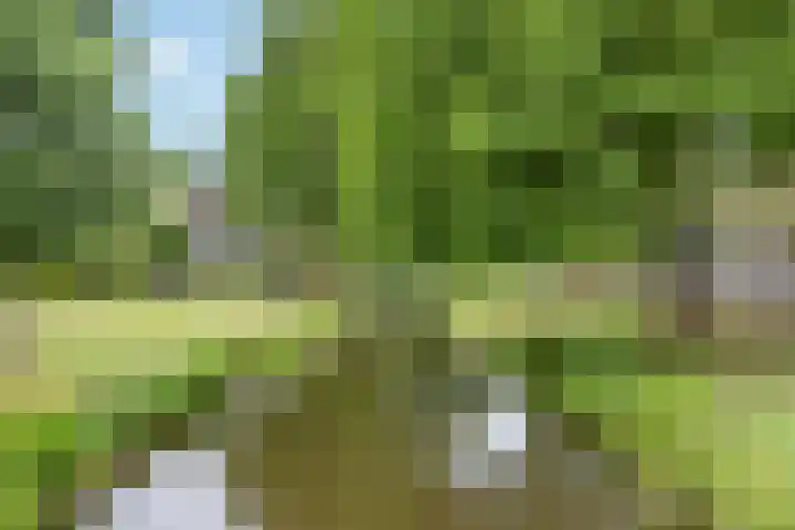 Christinapad 2 Hoevelaken thumbnail 32