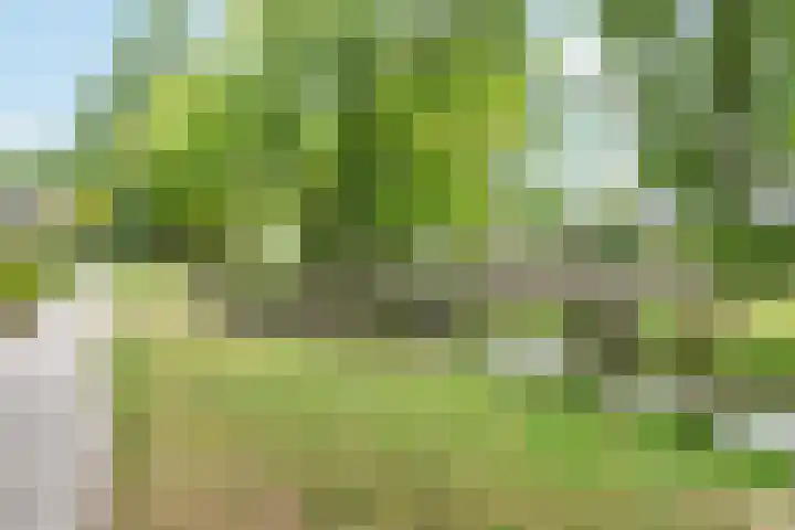 Christinapad 2 Hoevelaken thumbnail 34