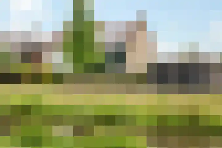 Christinapad 2 Hoevelaken thumbnail 7