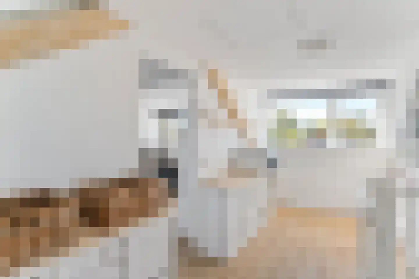 Christinapad 27 Hoevelaken thumbnail 25