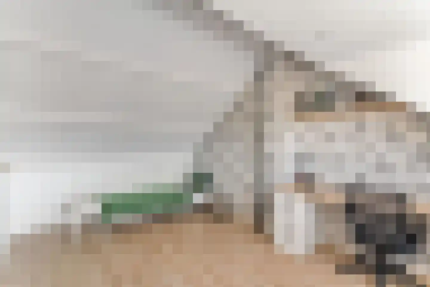 Christinapad 27 Hoevelaken thumbnail 27