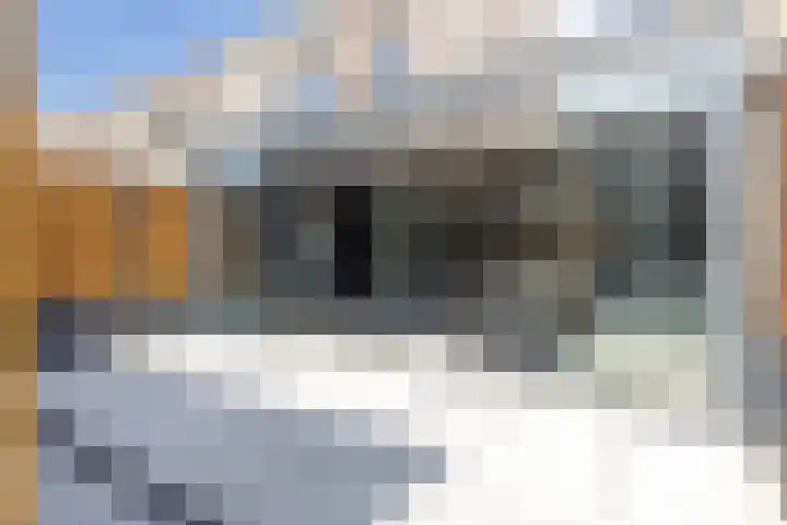 Christinaplantsoen 12 Beverwijk thumbnail 4