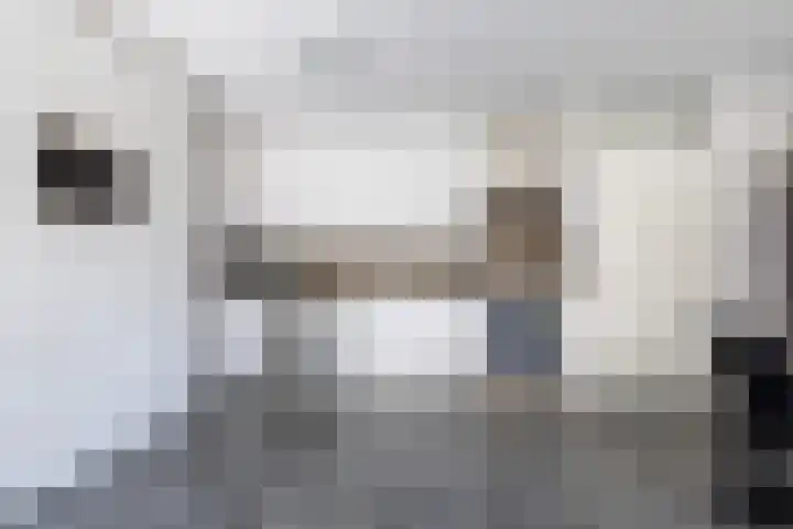 Christinaplantsoen 12 Beverwijk thumbnail 8