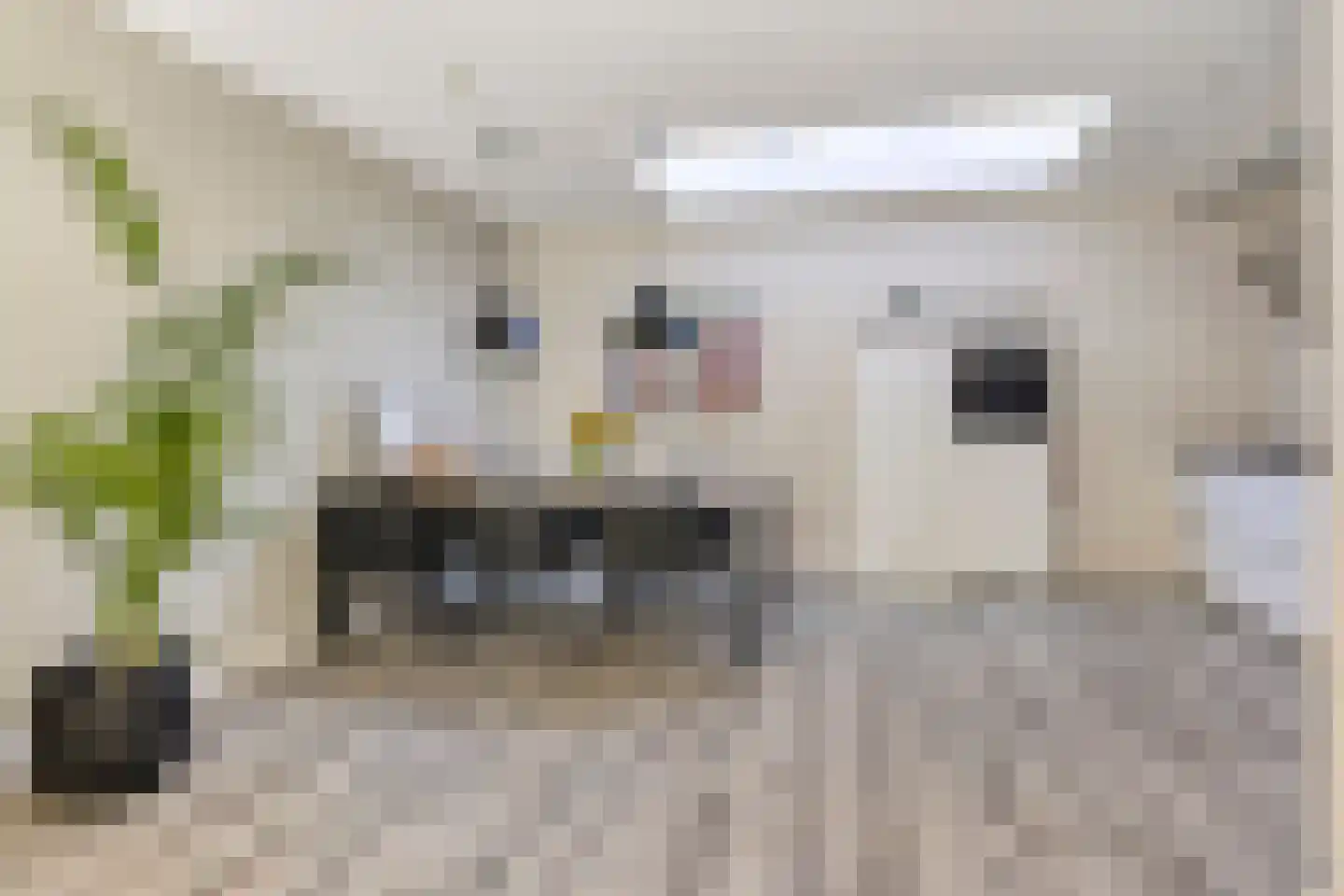 Christinastraat 1 B Lisse thumbnail 13