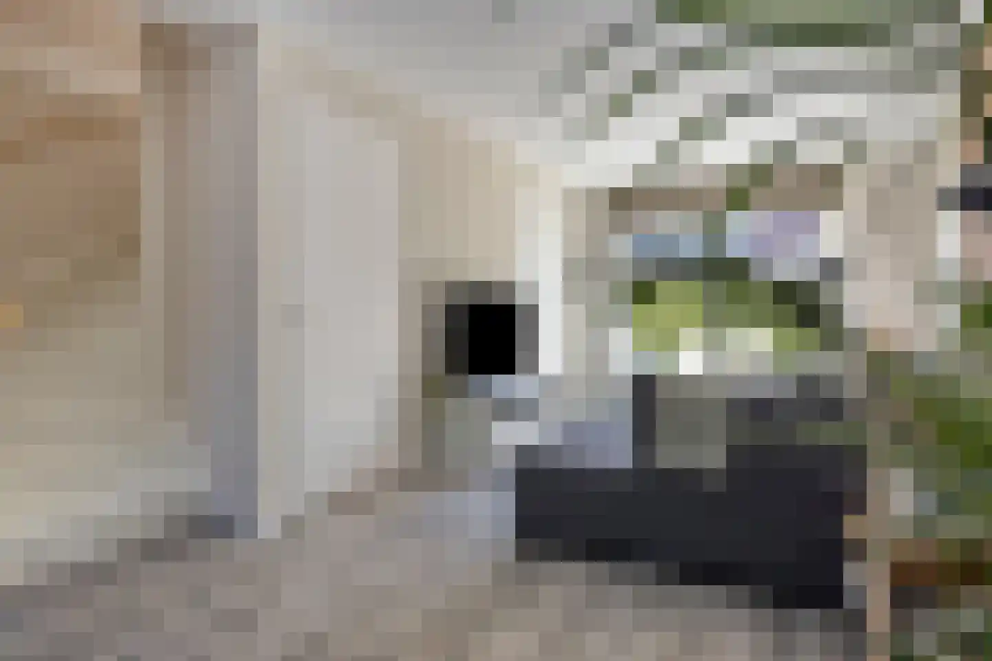 Christinastraat 1 B Lisse thumbnail 14