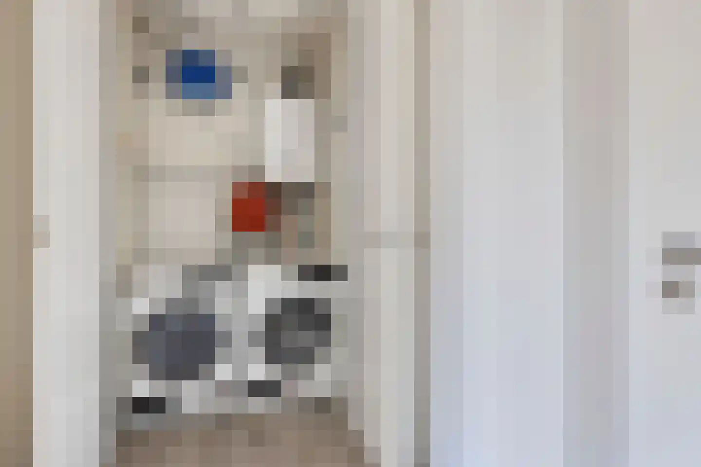 Christinastraat 1 B Lisse thumbnail 24