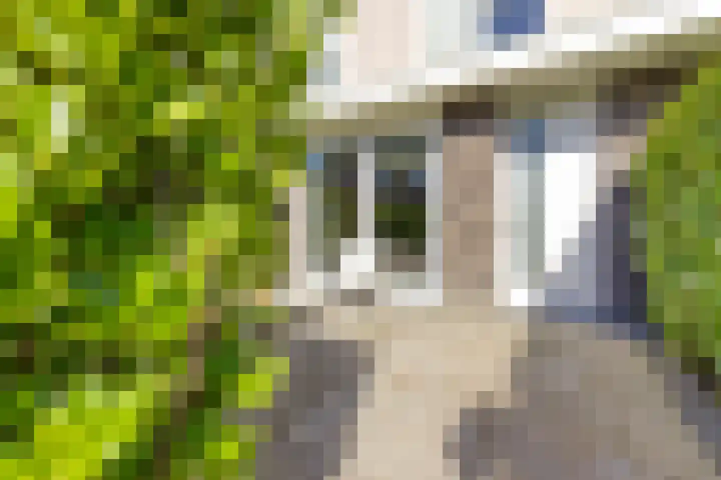 Christinastraat 1 B Lisse thumbnail 6