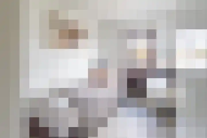 Christinastraat 10 Afferden L thumbnail 21
