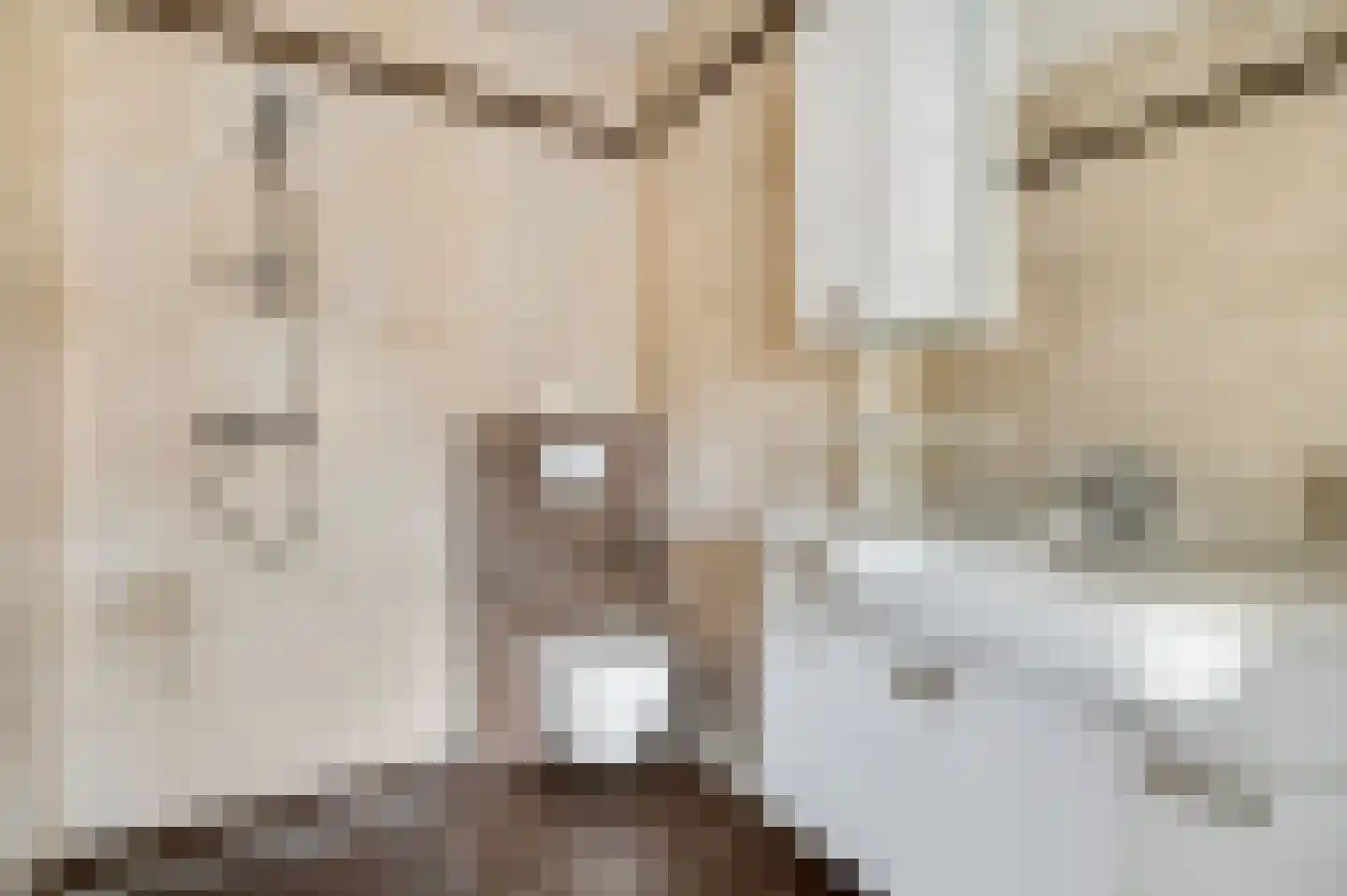 Christinastraat 126 Elst Ut thumbnail 12