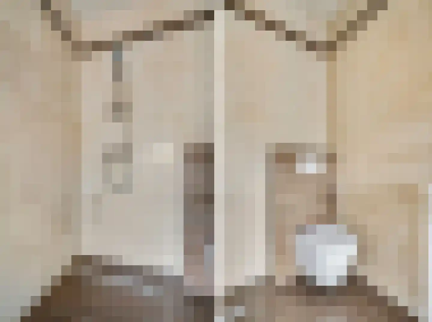 Christinastraat 126 Elst Ut thumbnail 13