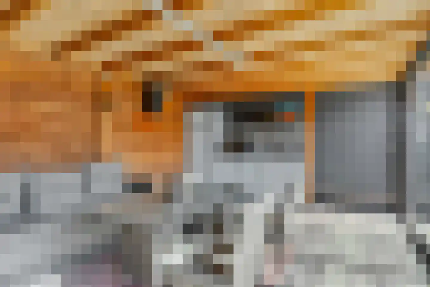 Christinastraat 126 Elst Ut thumbnail 27