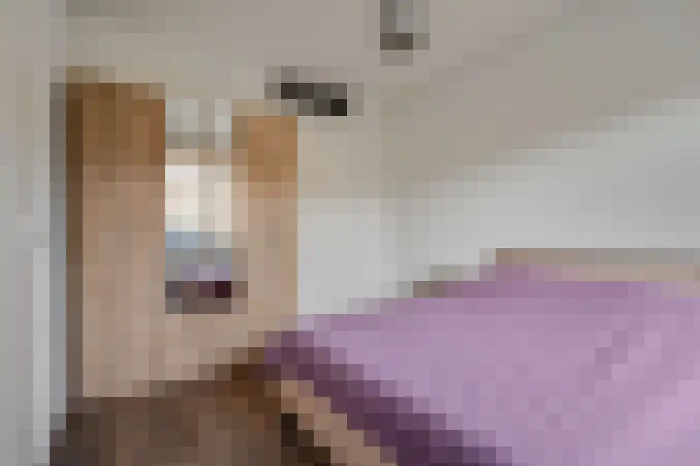 Christinastraat 126 Elst Ut thumbnail 9