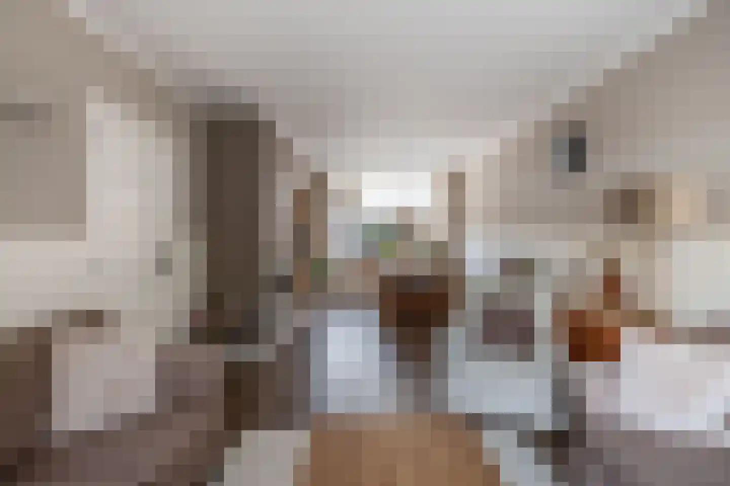 Christinastraat 13 Nieuw-Beijerland thumbnail 13