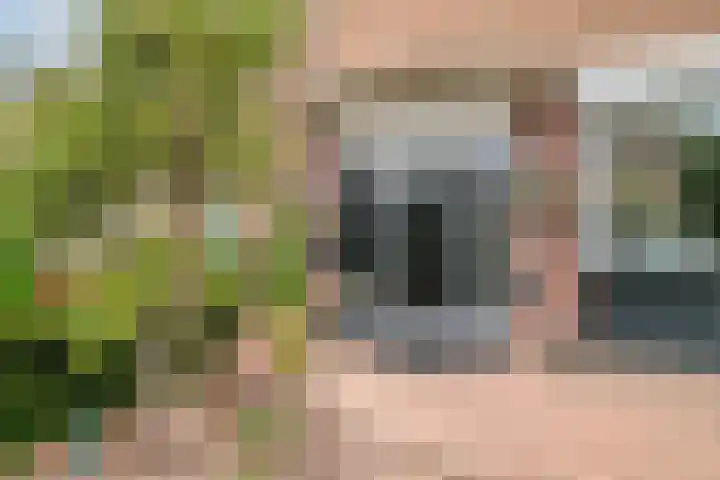 Christinastraat 14 Nieuw-Beijerland thumbnail 10