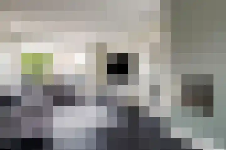 Christinastraat 14 Nieuw-Beijerland thumbnail 15