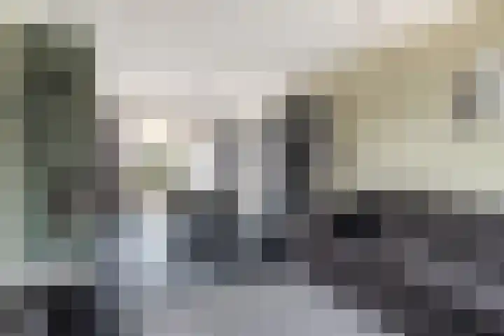 Christinastraat 14 Nieuw-Beijerland thumbnail 17