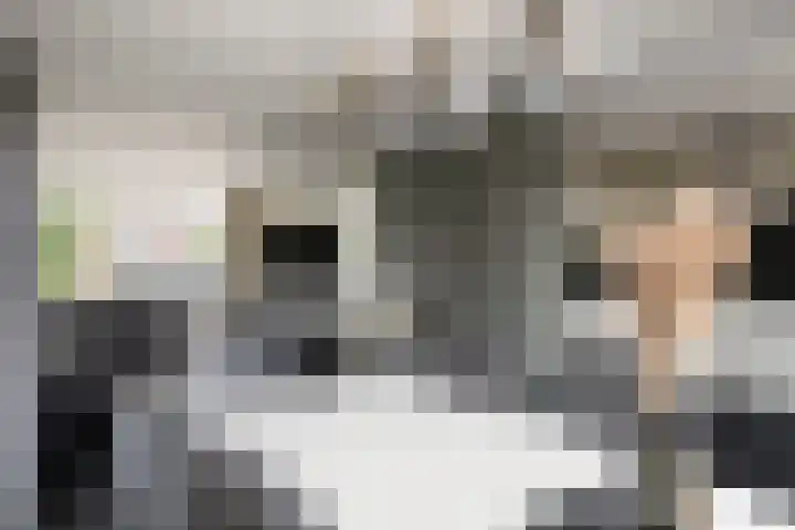 Christinastraat 14 Nieuw-Beijerland thumbnail 21