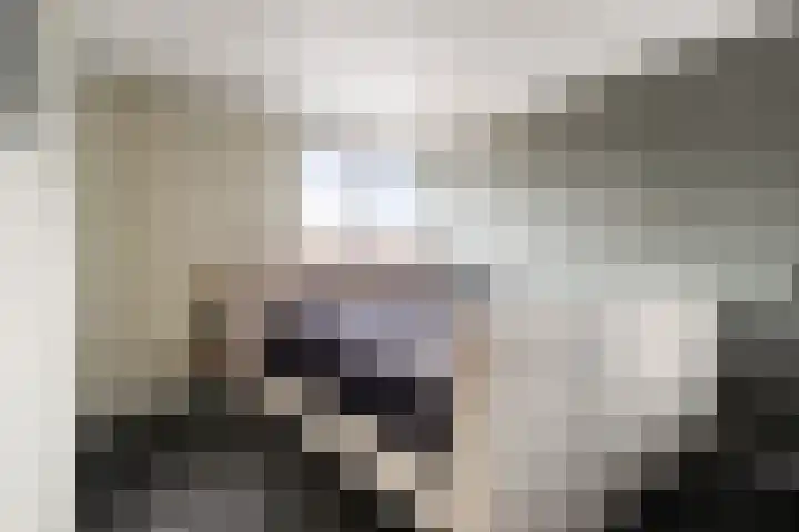 Christinastraat 14 Nieuw-Beijerland thumbnail 27