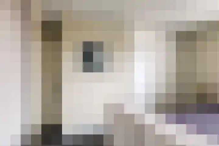 Christinastraat 14 Nieuw-Beijerland thumbnail 29