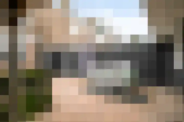 Christinastraat 14 Nieuw-Beijerland thumbnail 47