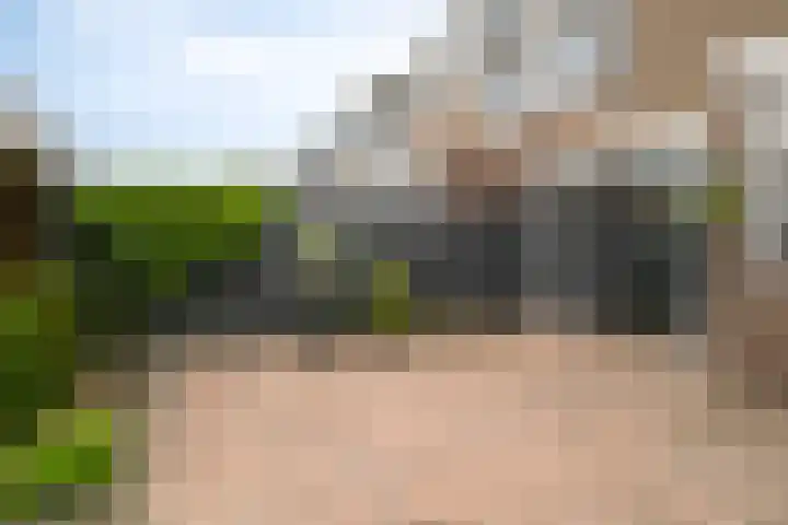 Christinastraat 14 Nieuw-Beijerland thumbnail 48