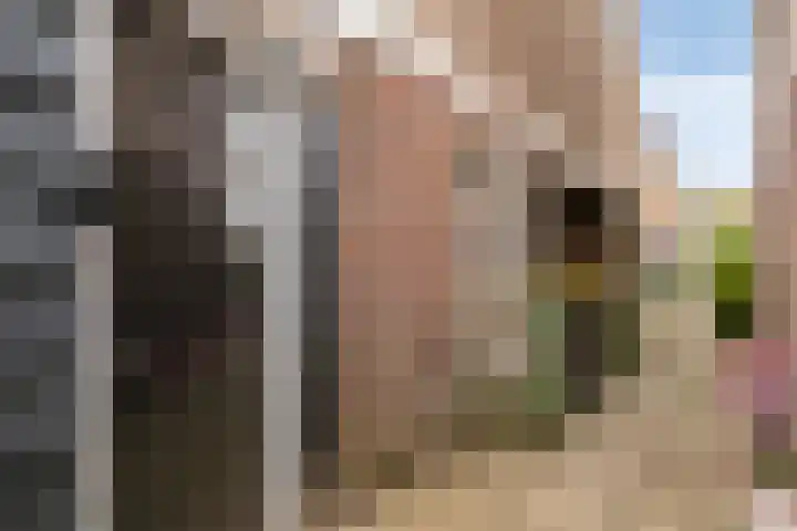 Christinastraat 14 Nieuw-Beijerland thumbnail 51
