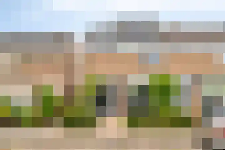 Christinastraat 14 Nieuw-Beijerland thumbnail 59