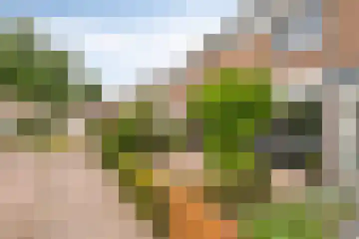 Christinastraat 14 Nieuw-Beijerland thumbnail 7