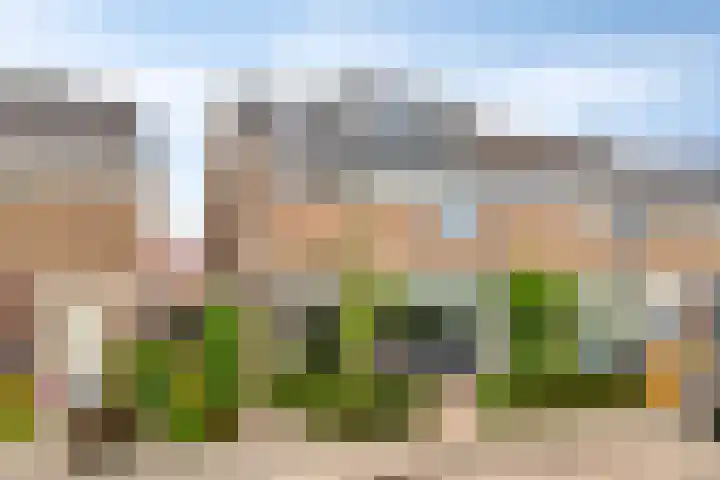 Christinastraat 14 Nieuw-Beijerland thumbnail 8