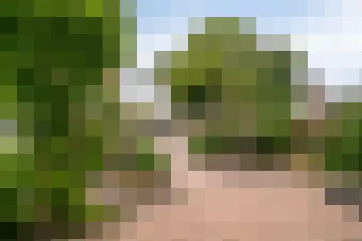Christinastraat 14 Nieuw-Beijerland thumbnail 9