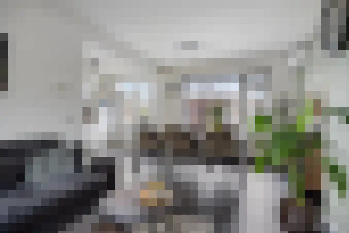 Christinastraat 15 Erp thumbnail 5