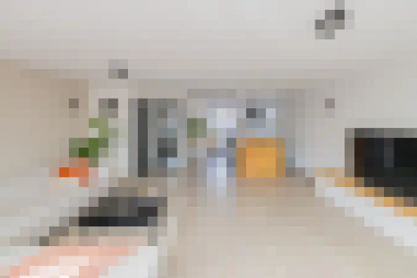 Christinastraat 17 Lisse thumbnail 10