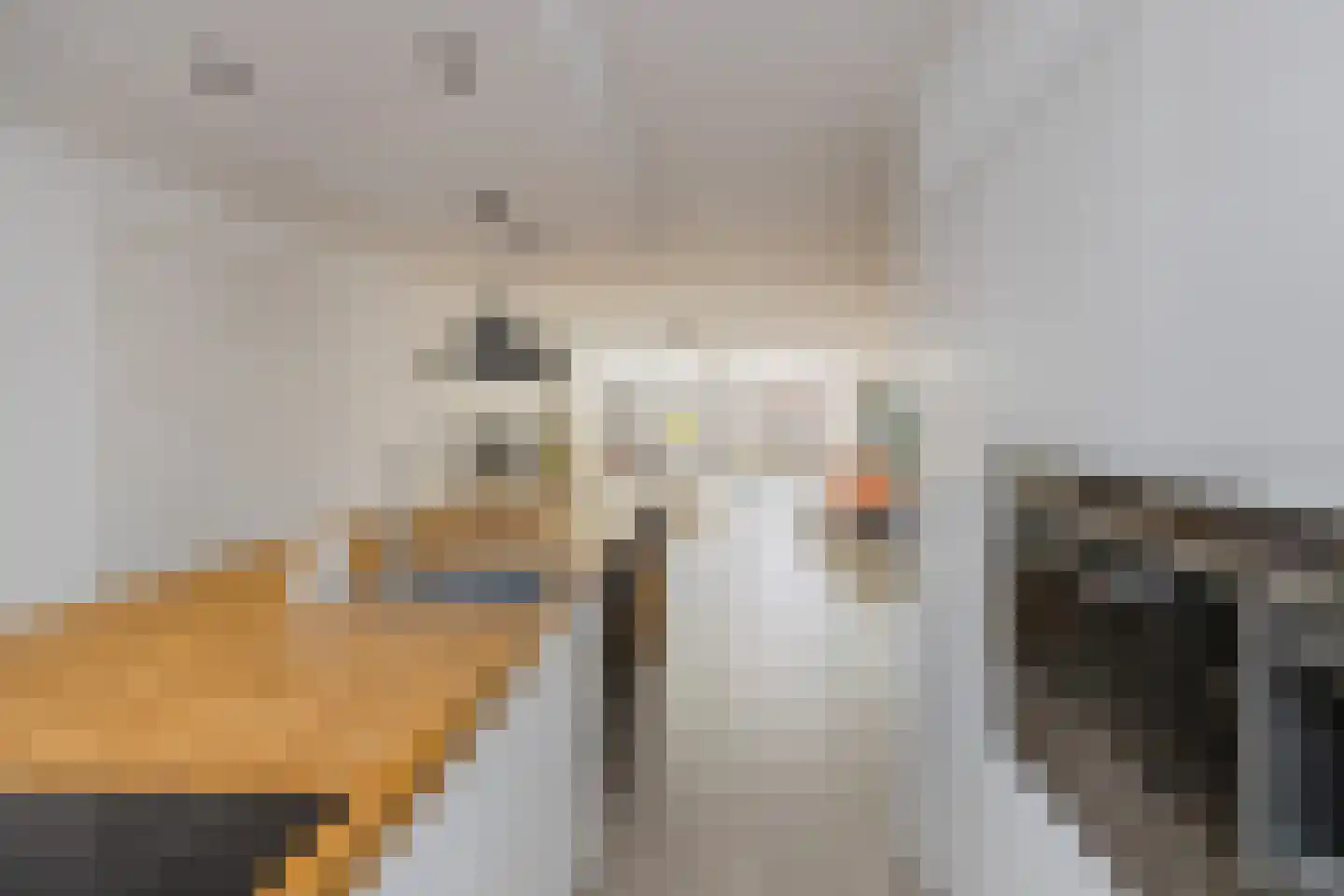 Christinastraat 17 Lisse thumbnail 17