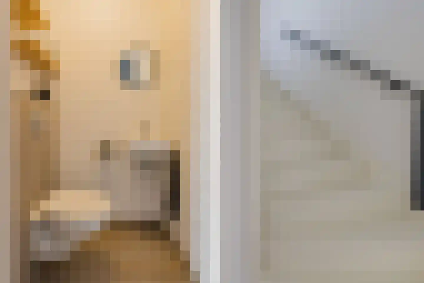 Christinastraat 17 Lisse thumbnail 26