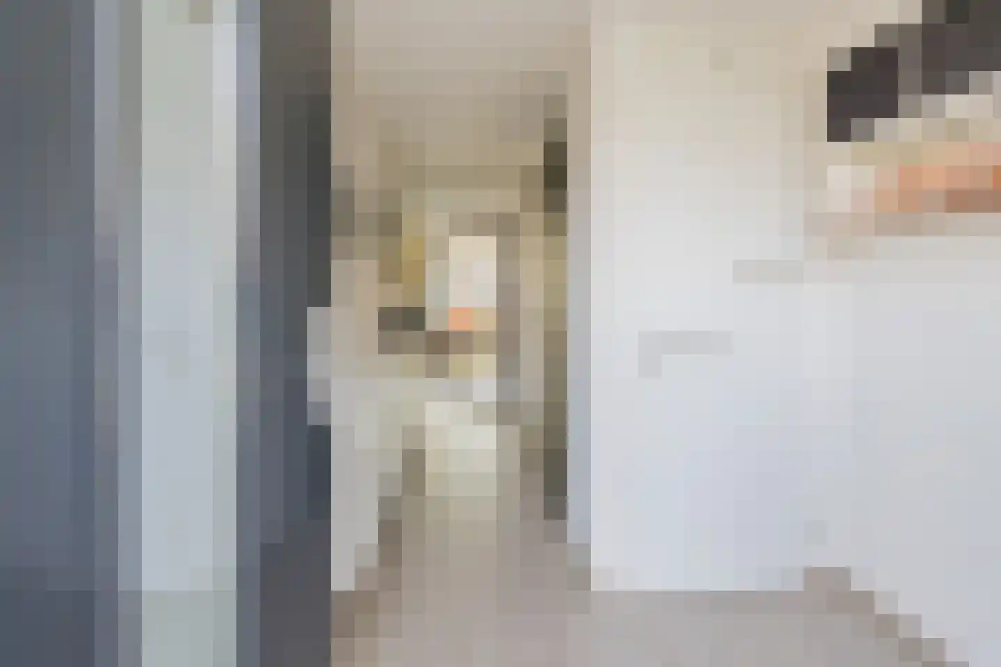 Christinastraat 17 Lisse thumbnail 4
