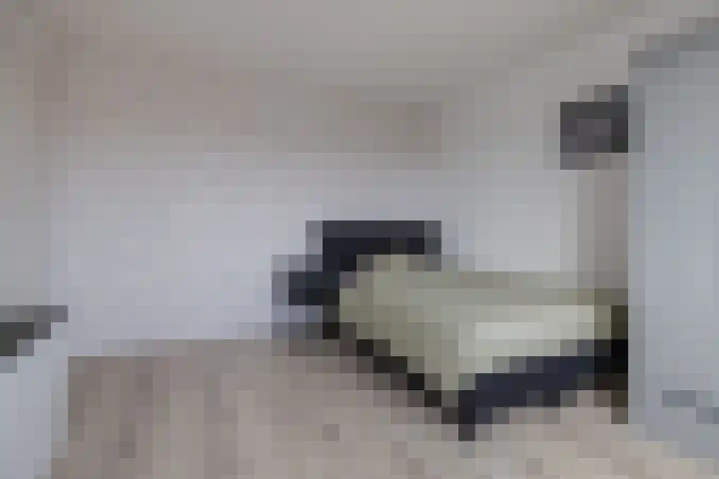 Christinastraat 17 Lisse thumbnail 46
