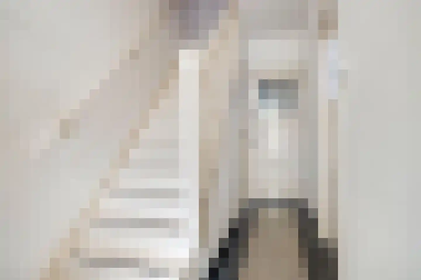 Christinastraat 189 Eindhoven thumbnail 7
