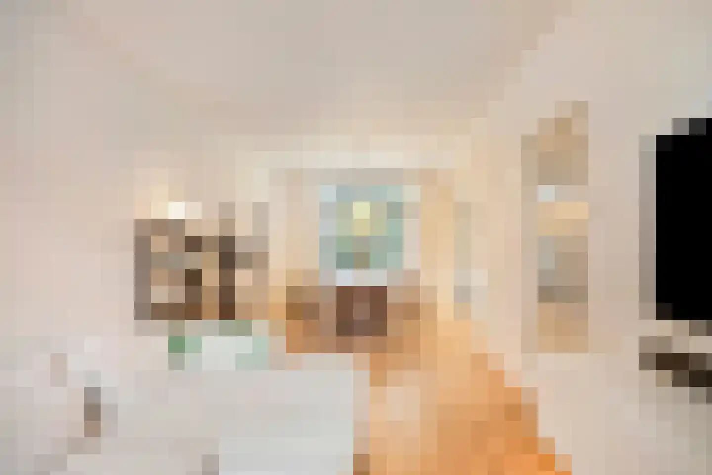 Christinastraat 191 Eindhoven thumbnail 7