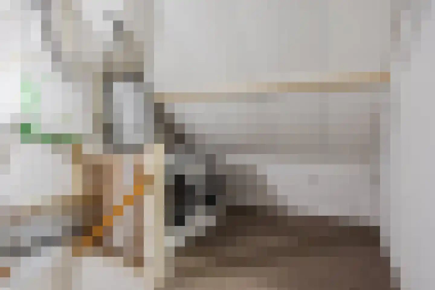 Christinastraat 2 Erp thumbnail 24