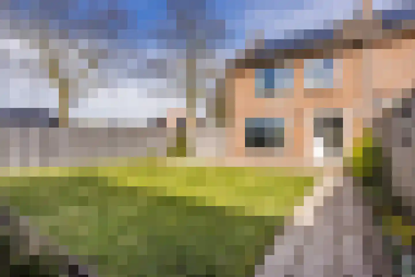 Christinastraat 2 Erp thumbnail 33