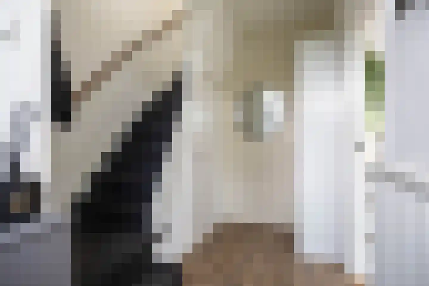 Christinastraat 22 Groningen thumbnail 10