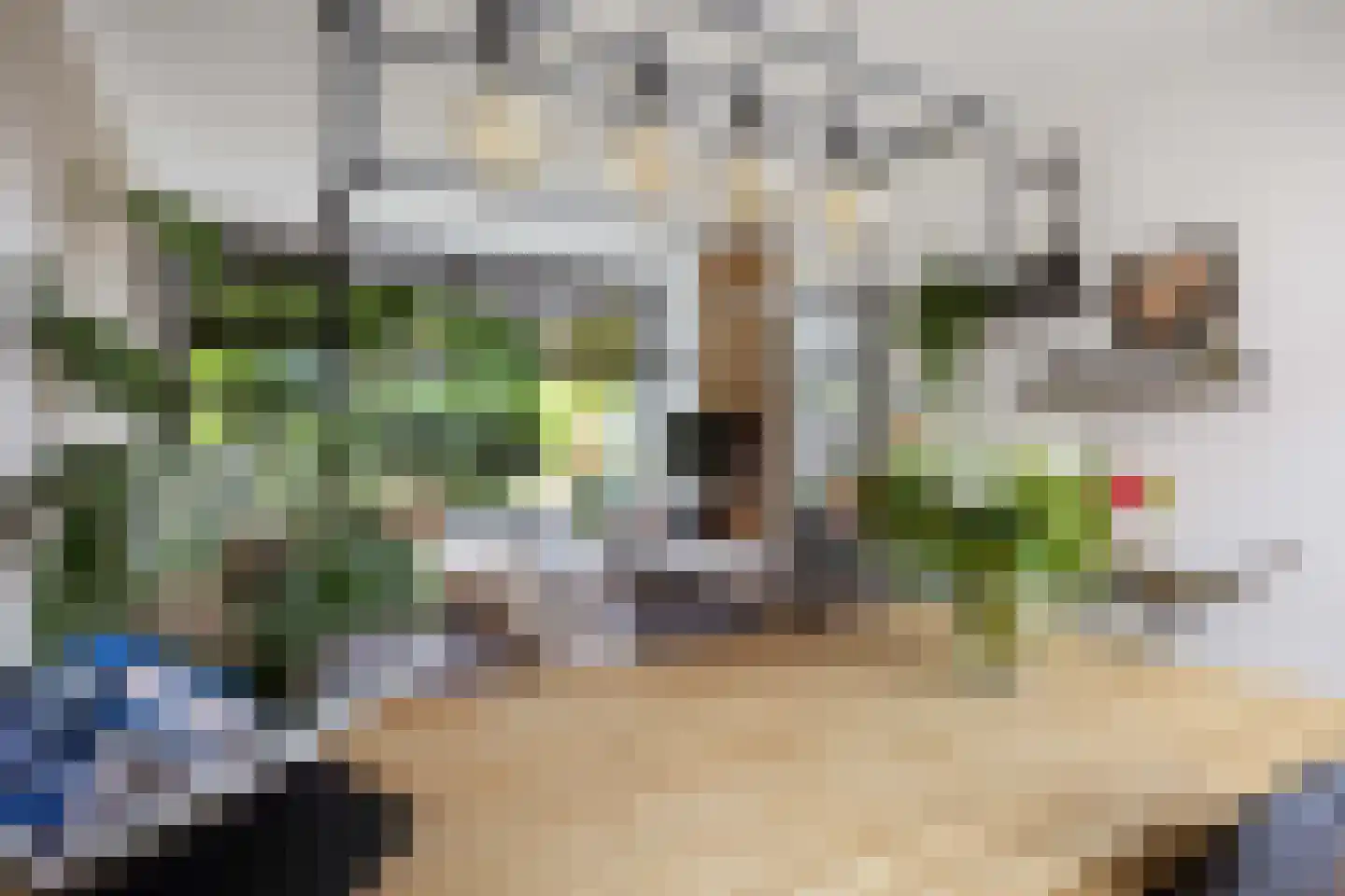 Christinastraat 22 Groningen thumbnail 18