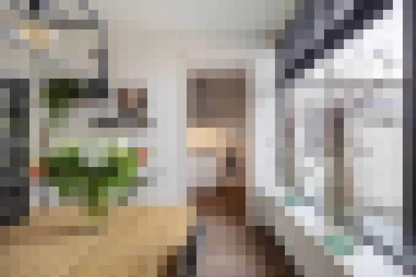 Christinastraat 22 Groningen thumbnail 19